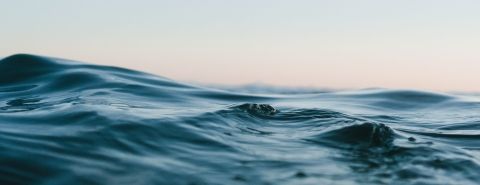 matt-hardy-6ArTTluciuA-unsplash
